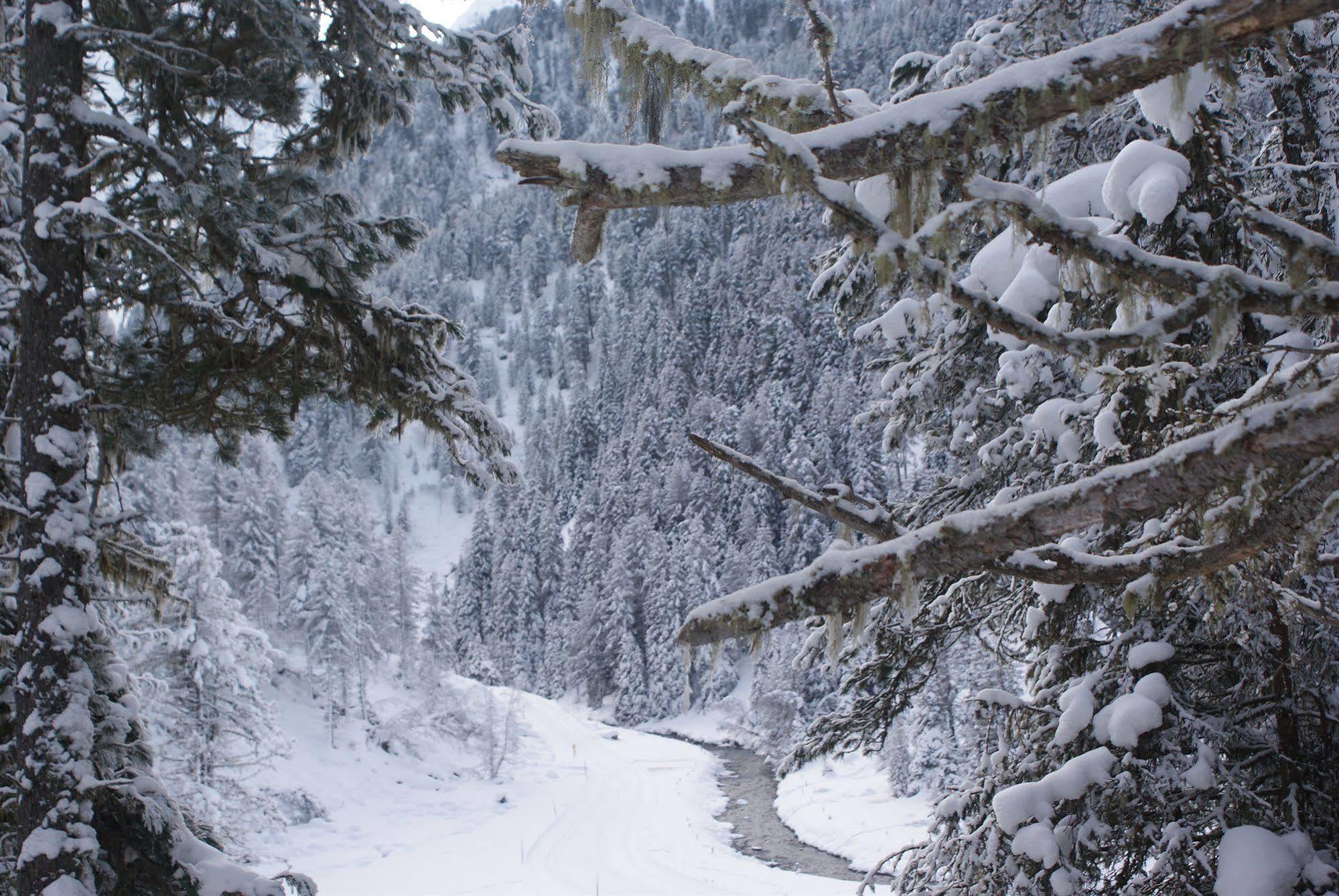 Alpengasthof Hotel Grieserhof Gries im Sellrain Buitenkant foto